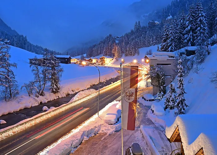 酒店 霍尔罗阿酒店