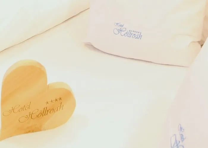 酒店 霍尔罗阿酒店