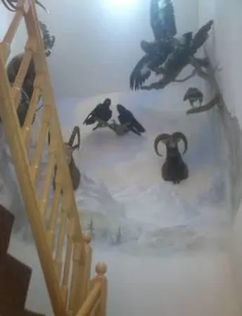 Hoellroah Otel Kappl (Landeck)